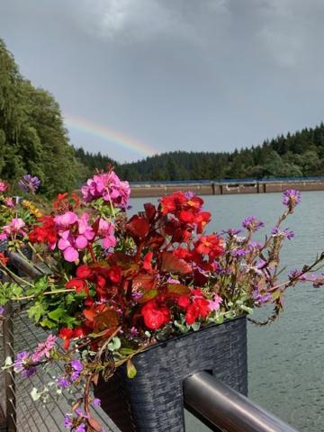Holidayhaus-Luetsche / Wohnung Schmuecke Frankenhain Esterno foto
